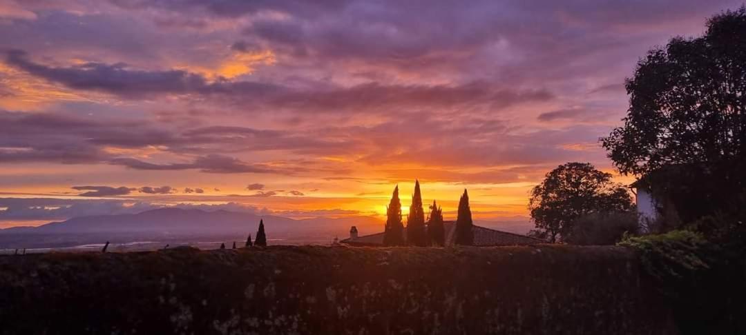 La Grotta San Michele Guest house
